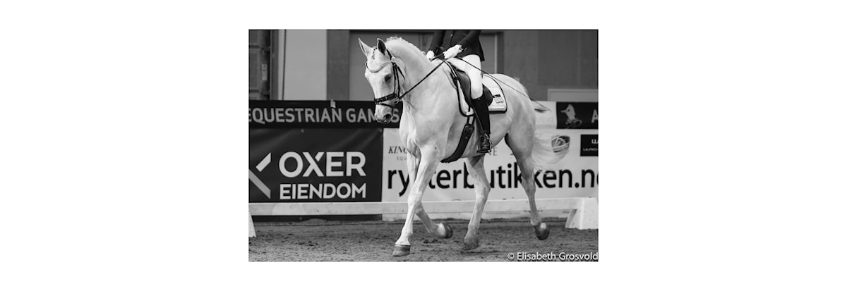 Rekrutteringsstevne Dressur med Lillesands Sparebank Cup